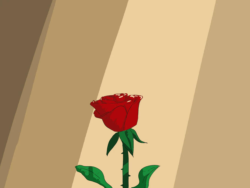 Rosas